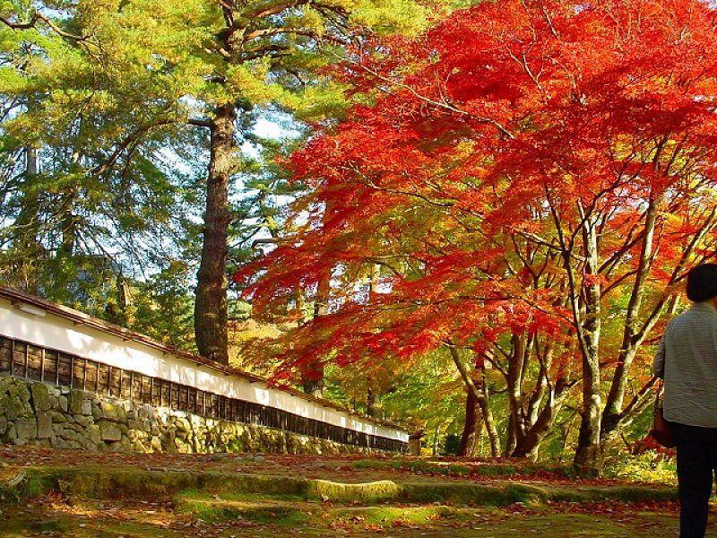 Tabist Hana Hotel Takinoya Aizu-Yanaizu Exterior foto